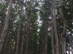 -窦店服务区-停车场