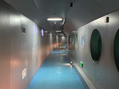 -白鹤梁水下博物馆