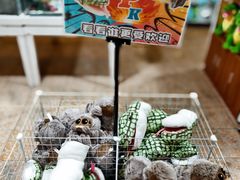 -上海大自然野生昆虫馆(东方明珠·爬宠昆虫探索中心)