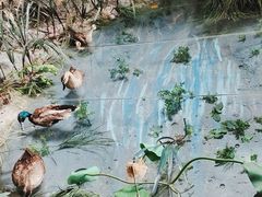 -吉林省自然博物馆