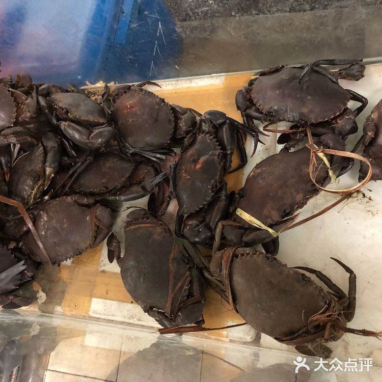 新加坡明辉田鸡粥