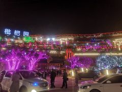 -枇杷园食为鲜火锅(南山店)