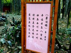 -望江楼公园