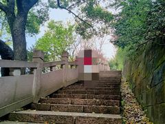 -杭州半山国家森林公园