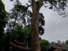 -都江堰普照寺
