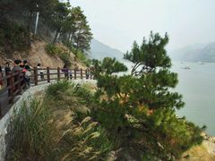 -羚羊峡古栈道森林公园