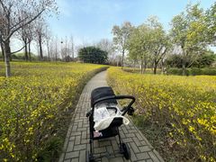 -洨河生态公园