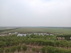 -南大港湿地风景区