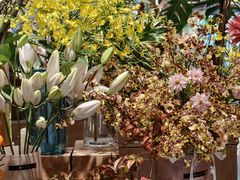 -深圳湾万象城(南山店)