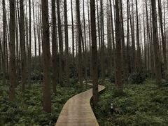 -上海怡沁园度假酒店