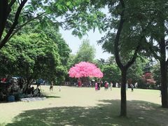 -西湖天地