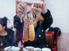 大濑尿虾-凯华海鲜火锅·传承三十六年