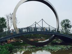 -武清南湖绿博园