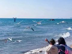 -老虎石海上公园