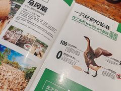 -优之名鹅城