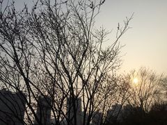 -重庆彩云湖湿地公园