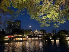 -荔湾湖公园