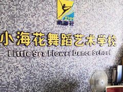 -小海花舞蹈艺术学校
