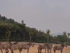 -杭州野生动物世界
