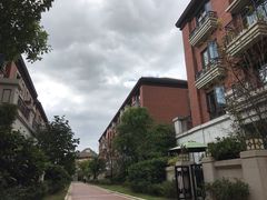 -翊宠yipet猫狗购宠庄园犬舍•猫舍