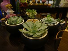 DSC04601_副本-良友书坊(安徽路店)