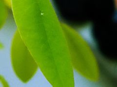 -天津东丽湖风景区