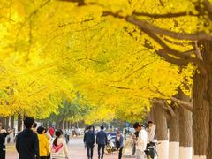 -辽宁大学(崇山校区)