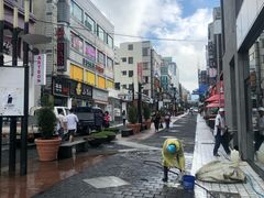 -宝健路步行街(Pedestrian Shopping Street)