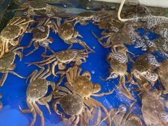 -阳澄湖大闸蟹·琼灵阁牌品牌连锁(吴中总店)