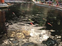 -顺景温泉
