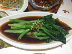 -素虎小呆鸟(西二旗店)