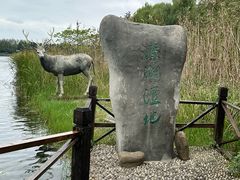 -溱湖国家湿地公园