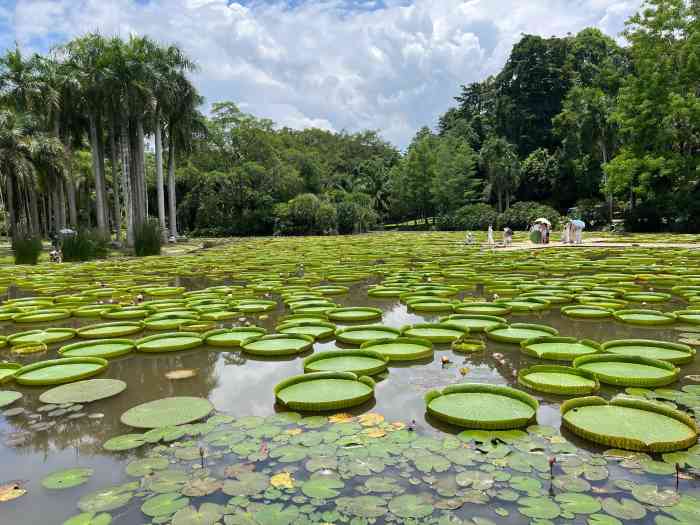 中國科學院西雙版納熱帶植物園