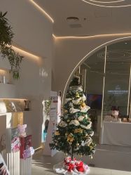 -紫琪尔·匠心连锁·胸部护理养护