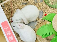 -鹿港小镇(悠唐店)