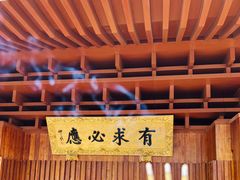 -深圳仙湖植物园