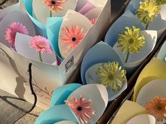 -花生FM_FLOWERS