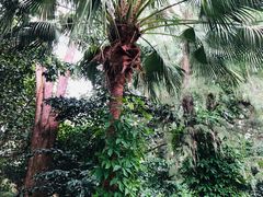 -北海市海滨公园