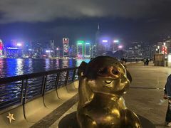 -星光大道