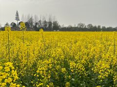 -中国天府农业博览园