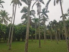 -中国科学院西双版纳热带植物园