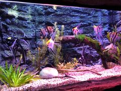 -上海海洋水族馆