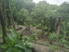 -吴山景区