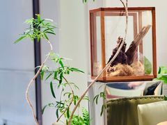 -一尺花园(安和花园店)