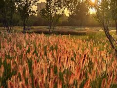 -汉长安城未央宫国家考古遗址公园