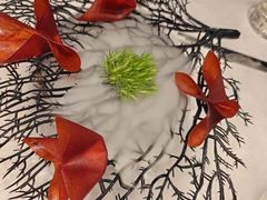 -迦南苑·新派青岛菜·生日纪念日主题餐厅