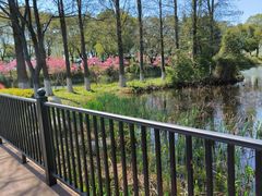 -金银湖国家城市湿地公园
