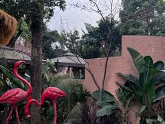 -大汗烧烤滩羊馆(清水河公园店)