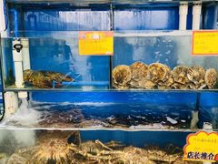 水产区-蚝专家(北滘店)