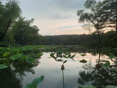-承德避暑山庄景区